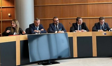 Lo studio scientifico che 'assolve' la pesca al gianchetto presentato ufficialmente a Bruxelles