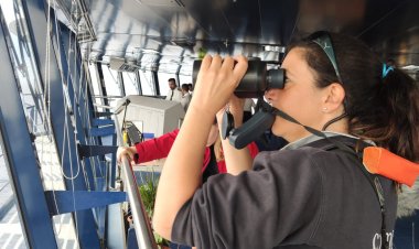 Capodogli, balenottere e stenelle, un viaggio in Corsica con le biologhe del Cima a bordo di Corsica Ferries