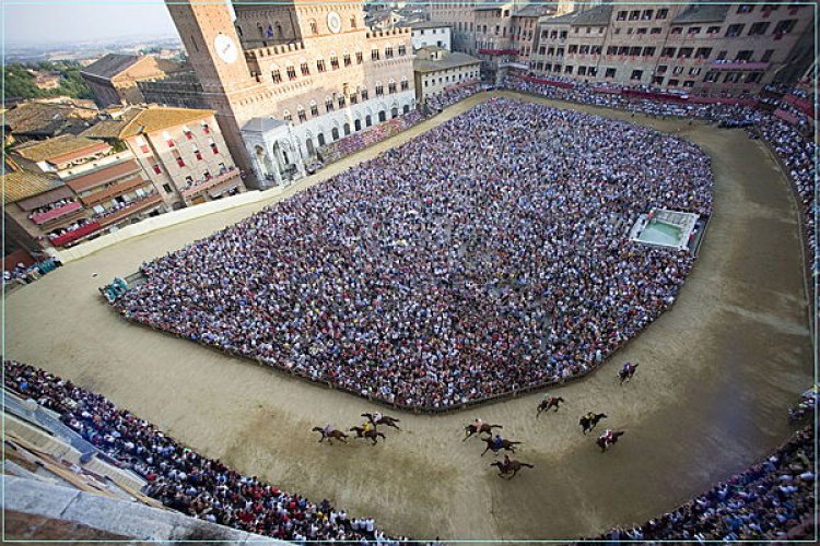 Istrice, Drago, Torre e Chiocciola le contrade estratte per il Palio di Siena