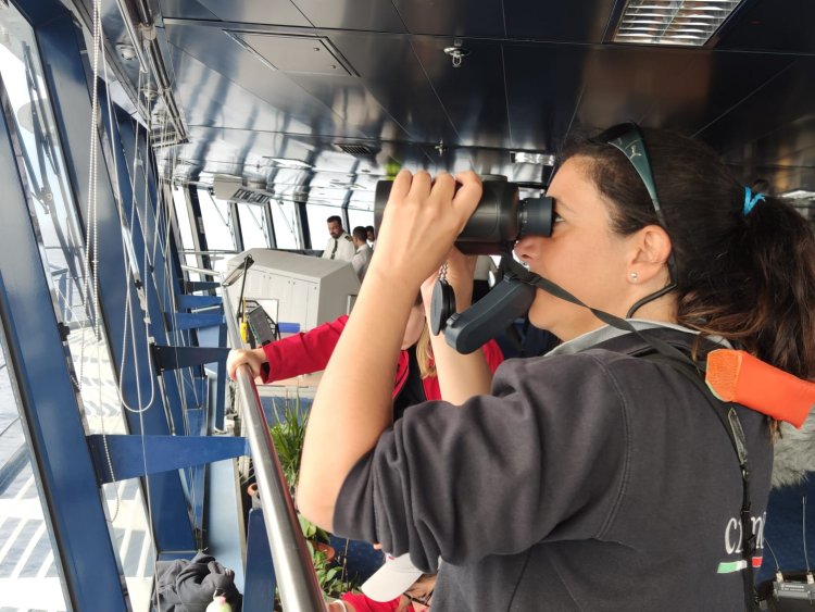 Capodogli, balenottere e stenelle, un viaggio in Corsica con le biologhe del Cima a bordo di Corsica Ferries