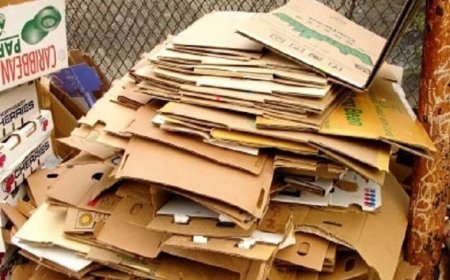 Risultati incoraggianti per la raccolta differenziata di carta e cartone