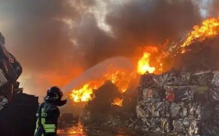Apprensione in Sicilia per gli incendi boschivi