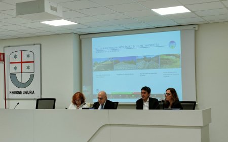 Rigassificatore a Vado Ligure, incontri per ridurre le distanze