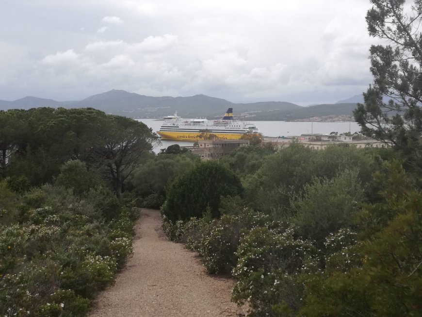 Con Corsica Sardinia Ferries si vive il vero autunno in Barbagia