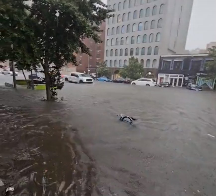 La pioggia comincia a placarsi a New York, ma resta lo stato d'emergenza