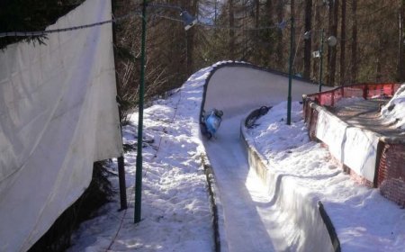 No alla pista da bob a Cortina,  Cai soddisfatto