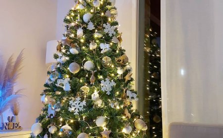 Confagricoltura:'Meglio un albero di Natale vero e certificato'