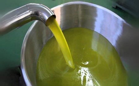Consumare più Olio EVO per contrastare obesità e malattie non trasmissibili
