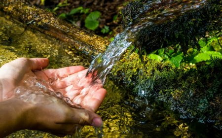Il Cai rilancia il tema scelto dalla FAO: 'Ripristinare gli ecosistemi montani'