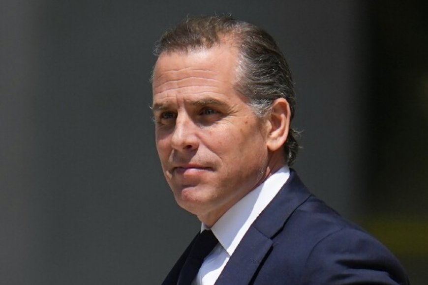 Arrivano nuove accuse per il figlio di Biden