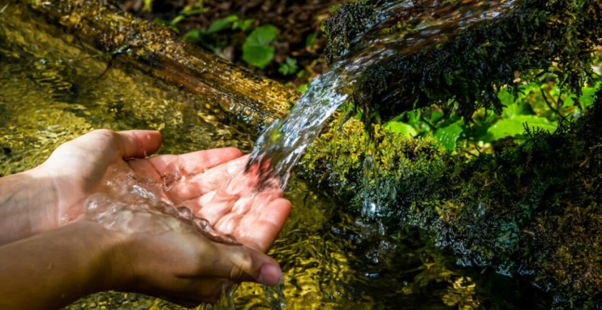 Il Cai rilancia il tema scelto dalla FAO: 'Ripristinare gli ecosistemi montani'