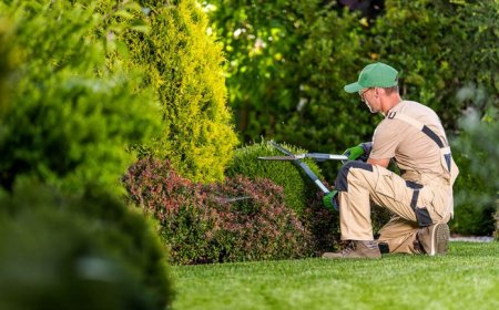 56 nuovi giardinieri d’arte e manutentori del verde in Liguria