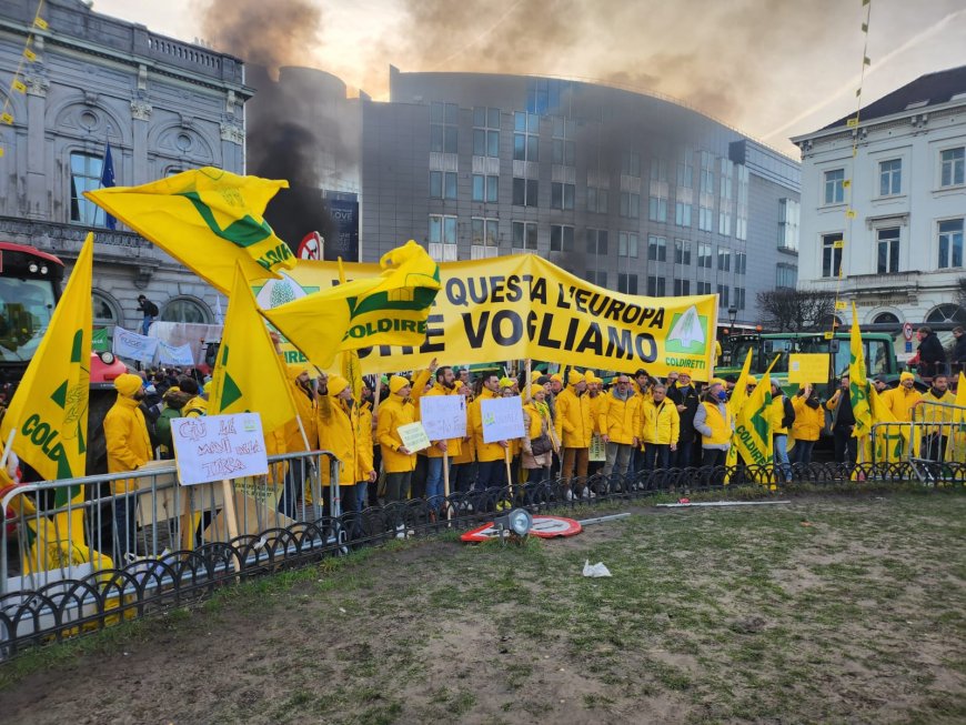 La protesta degli agricoltori arriva a Bruxelles