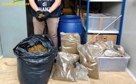 Savona , oltre 180 chilogrammi di droga sequestrati dalla guardia di finanza, 4 arresti