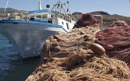 Genova, al via il 'monitoraggio delle risorse della pesca in Liguria'