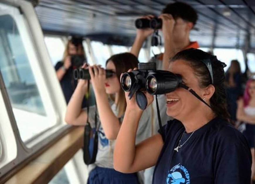 Al via il progetto di monitoraggio del Santuario Pelagos di Fondazione CIMA sulle Navi Gialle