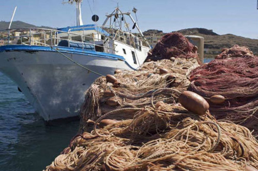 Genova, al via il 'monitoraggio delle risorse della pesca in Liguria'