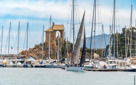 Approvato il bilancio consuntivo del 2023 della Marina di Alassio, Bandiera Blu e utili sopra i 240 mila euro