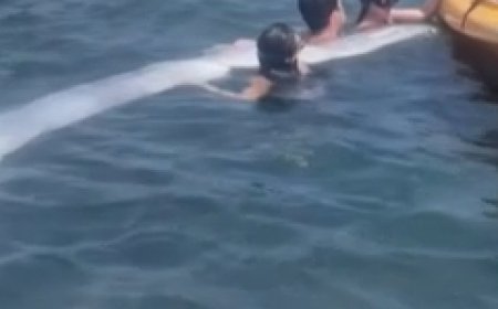 Creature degli abissi: trovato morto al largo di San Diego un raro un pesce remo