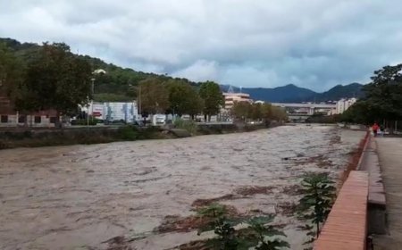 Savona, arriva un'ordinanza del sindaco Russo per pulire il Letimbro, Quiliano e Lavanestro e sui rii Molinero e Ritorto