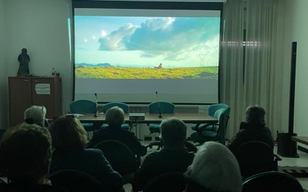 Cineforum di Laigueglia  si alza il sipario su una rassegna straordinaria