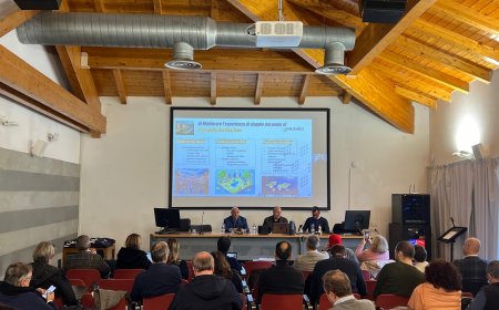 L’intelligenza artificiale elemento fondamentale anche nell’industria dell’ospitalità e del turismo