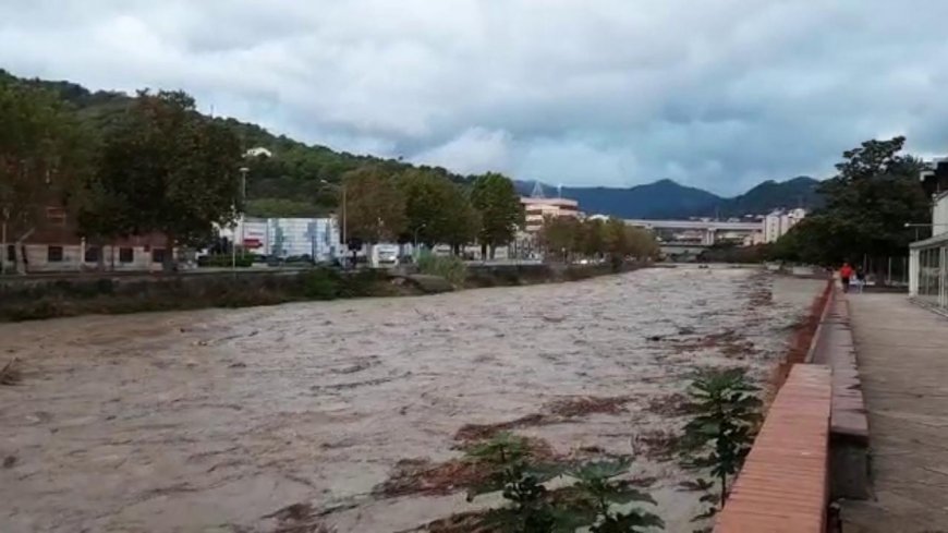 Savona, arriva un'ordinanza del sindaco Russo per pulire il Letimbro, Quiliano e Lavanestro e sui rii Molinero e Ritorto