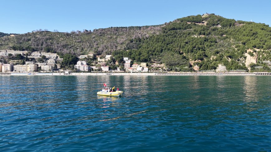 A Laigueglia verrà avviata un'operazione per ravvivare la prateria di Posidonia oceanica