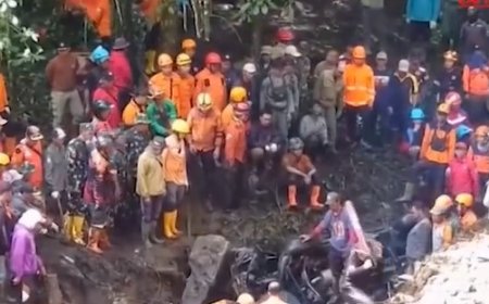 Frana in Indonesia, strade coperte di fango e alberi sradicati