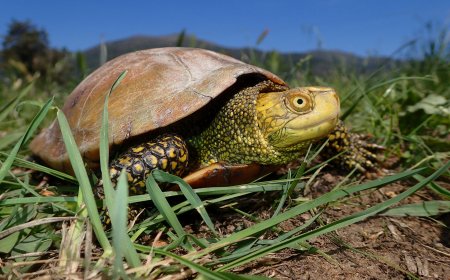 L’Acquario di Genova e La Città dei Bambini e dei Ragazzi si preparano ad accogliere il pubblico nelle vacanze pasquali 