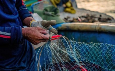 Tra i profumi del mare e l’energia di chi ama e difende il Mediterraneo, nasce Core