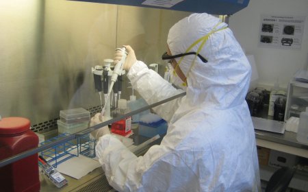 Terapia Car-T del Bambino Gesù: remissione nel 40% dei casi di neuroblastoma, risultati pubblicati su Nature Medicine