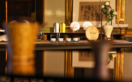 Il Tè Pu'er di BOLIAN Jingmai Mountain protagonista a 'Reviving Craft Milano' L'aroma millenario del Te' trasmette l'estetica orientale