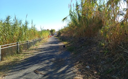 Pulizia dei corsi d’acqua e manutenzione del verde, lavori autunnali in corso a San Bartolomeo 