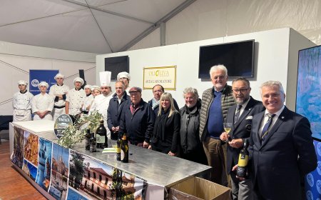 Olioliva, la storia del Frantoio Sant’Agata di Oneglia raccontata grazie a Cna