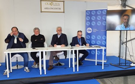 Olioliva 2025, l'Oro Verde dell'entroterra ligure, il viaggio che nutre l’anima