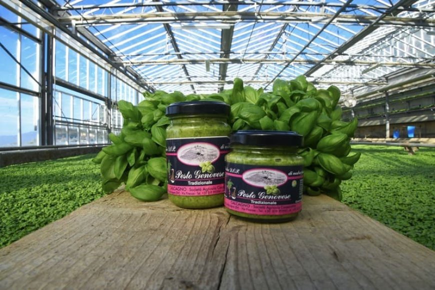 Il Pesto Mondiale? Si può trovare solo da Calcagno a Celle Ligure