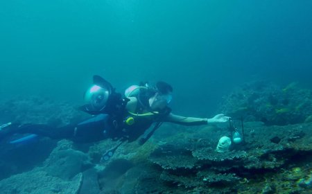 L’orto subacqueo che dalla Liguria incanta il pianeta: Nemo’s Garden nella  docuserie ‘Choose Earth’