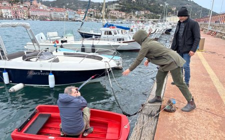 Delfini del Porto di Oneglia: parte il progetto Plinio