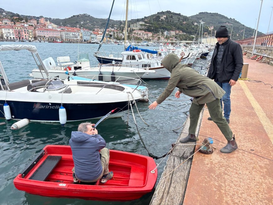 Delfini del Porto di Oneglia: parte il progetto Plinio