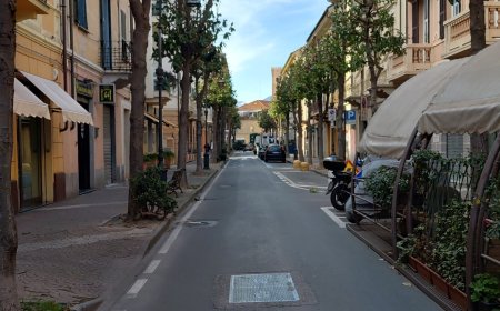 Albenga: potatura degli alberi in via dei Mille Ecco le prossime vie interessate dagli interventi
