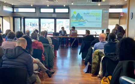 RaFF Liguria 2025, ecco il Rapporto sullo stato delle foreste e del settore forestale in Liguria