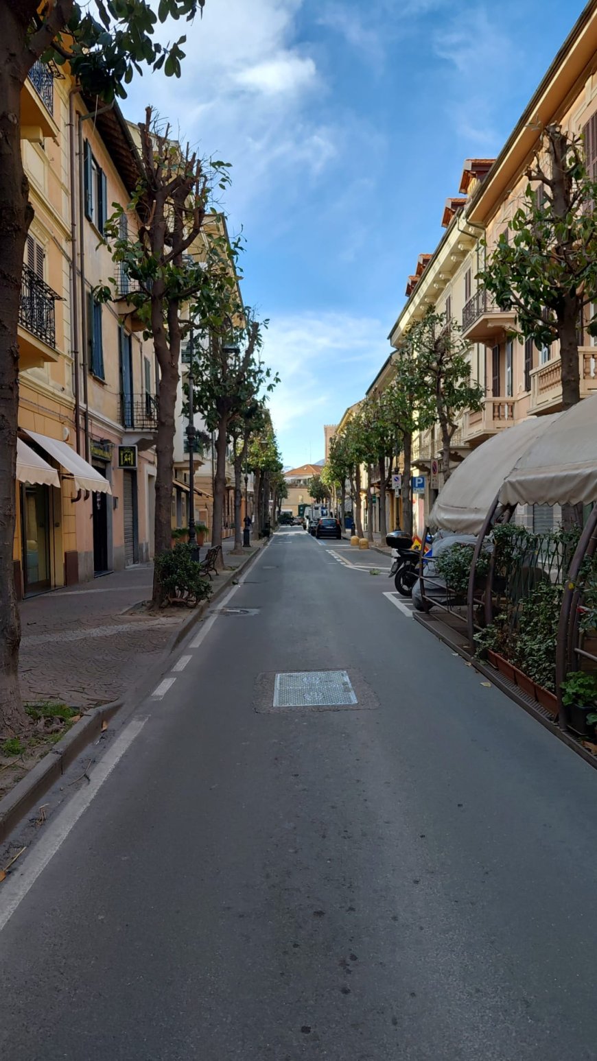 Albenga: potatura degli alberi in via dei Mille Ecco le prossime vie interessate dagli interventi