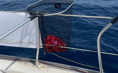 Prosegue il viaggio di Matteo Basile a “caccia” di materiale e rifiuti inquinanti