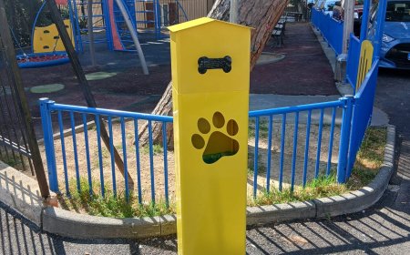 Decoro urbano e tutela dell’ambiente: al via l’installazione dei nuovi contenitori per le deiezioni canine
