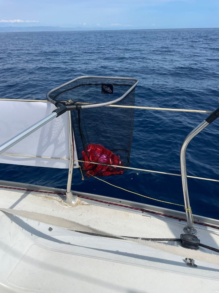 Prosegue il viaggio di Matteo Basile a “caccia” di materiale e rifiuti inquinanti