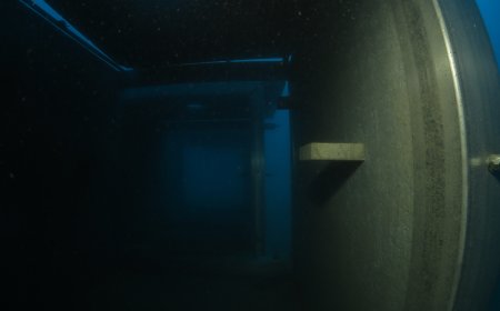 Isola Gallinara: in mare i primi moduli per il ripopolamento ittico