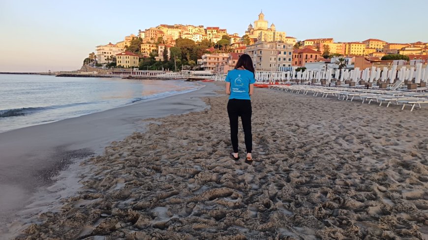 Tartarughe marine, al via i monitoraggi all'alba: oltre 100 volontari pronti a sorvegliare le spiagge del Ponente ligure