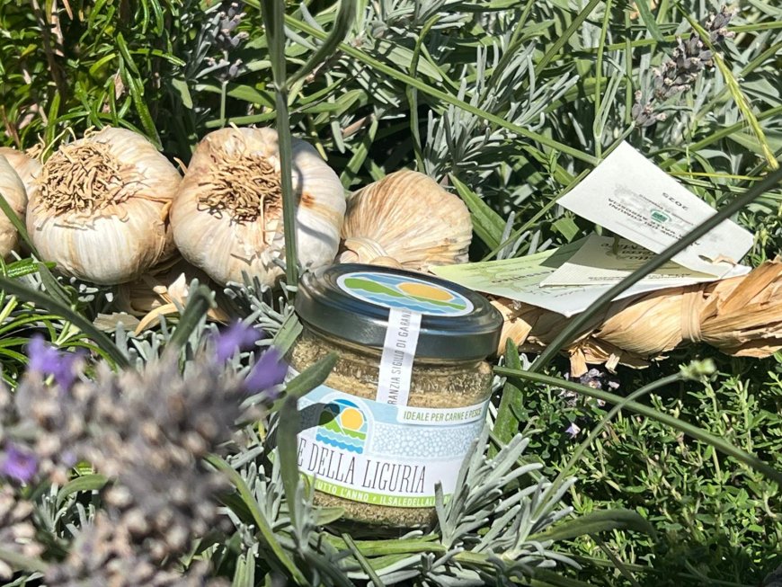 Dal mare alle alpi in un vasetto di sale: le erbe spontanee e i sapori delle vie Marenche diventano l’ambasciatore della “Terra di Colombo”