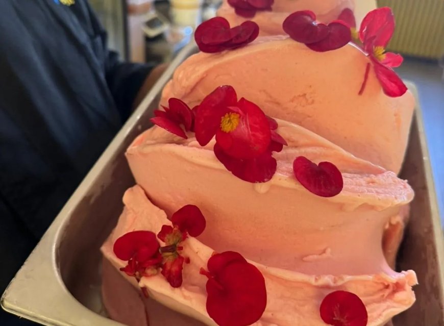 Riconferma dei “Due Coni” del Gambero Rosso per la gelateria Perlecò di Alassio: plauso da parte dell'Amministrazione Comunale